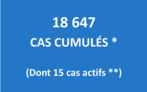 Seuls 15 cas Covid actifs au fenua