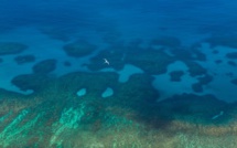 Trois appels à projets en faveur de la biodiversité