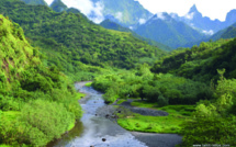 ​Une jeune femme décède après une chute dans la Papenoo