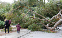 L'ouest de l'Australie balayé par le cyclone Seroja