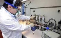 Les souches de peste bovine: une possible menace bio-terroriste