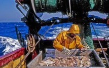 Réforme de la pêche: l'UE veut restaurer les stocks de poissons