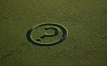 Blé OGM aux USA: l'UE recommande de tester les importations américaines