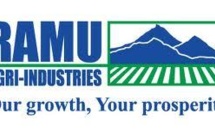 Papouasie: Plus de 250 grévistes de l’huile de palme licenciés