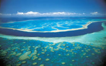 Des océanographes internationaux lancent un appel pour la Grande barrière de Corail