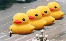 Les mots "gros canard jaune" censurés en Chine