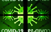 Covid-19 - Plus contagieux, plus résistants, plus nombreux: le tour du monde des variants