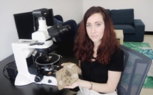 Alida Bailleul, la passion du vivant