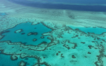 Australie: des techniques pour "ralentir de 20 ans" la disparition de la Grande barrière de corail