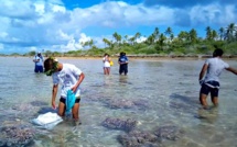 Enseignement grandeur nature au Cetad de Hao