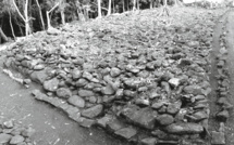 Pererau, un tahua renaît de ses ruines après 10 ans de restauration