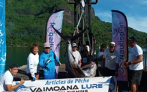 ​Concours de pêche à Moorea : un ha'urā de 245 kilos pour Dominique Wong