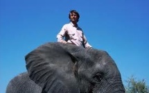 En visite au Gabon, Nicolas Hulot défend la cause des éléphants