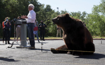 Californie: un candidat au poste de gouverneur fait campagne avec un ours
