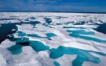 Le réchauffement des océans responsable de la fonte des glaces antarctiques