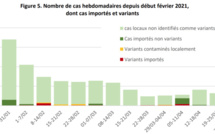Covid : une situation favorable et particulièrement stable 