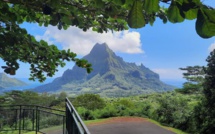 ​Grottes tapu de Piha'ena : Le Pays réagit