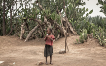 La famine écrase le sud de Madagascar, les chiffres empirent