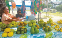 À Bora Bora, le système D pour faire face à la crise