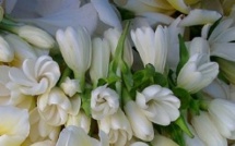 Le Monoï de Tahiti présent au salon professionnel Health &amp; Beauty Expo au Jacob Javits Center de New York