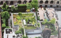 Un potager géant dans des HLM de New York pour lutter contre l'obésité