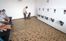 ​Dresser les chiens détecteurs au fenua