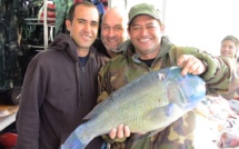 Pêche sous marine : Océania 2013 -Déception dans le camp des Tahitiens