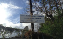 Vente aux enchères ce vendredi 28 juin