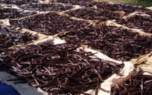 180 kg de gousses de vanille emportés par des voleurs