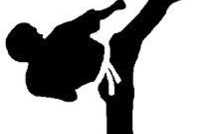 1er séminaire en TAEKWONDO pour qualification COACH COMBAT organisé par la WTFA