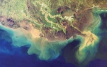 Le Golfe du Mexique pourrait voir se former une "zone morte" record en 2013