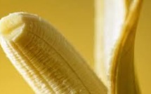 Une adolescente turque fait du plastique à partir de bananes