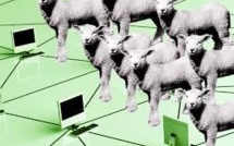 Colliers GPS, téléguidage de troupeaux: les Pyrénées testent le pastoralisme du futur