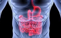 Un centre pour explorer les milliards de bactéries de notre système digestif