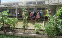 Moorea : compost et circuits courts au menu du SPCPF