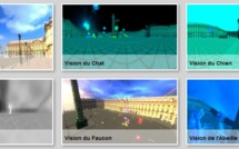 Voir Paris dans les yeux d'un chat, d'un rat ou d'un faucon