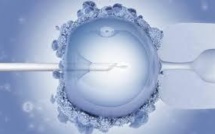 Procréation médicalement assistée : plus de 23.000 naissances par an en France