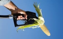 Premier pas vers la limitation de la production d'agrocarburants dans l'UE