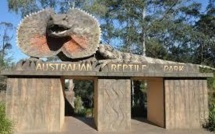 Serpents, lézards et alligator volés dans un zoo en Australie