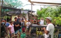 Nuku Hiva: l'ADAAE perd son terrain mais garde espoir