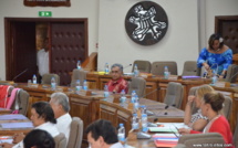 Plan de relance : l’Assemblée adopte une caravane de réformes à la veille d'une mission gouvernementale à Paris