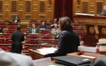 Le Parlement a définitivement adopté le texte autorisant la recherche sur l'embryon