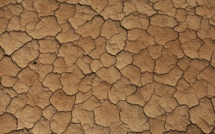 Sécheresse: fort risque cet été sur une grande partie de la France