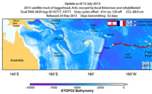 La tortue Ariti s’approche de Niue