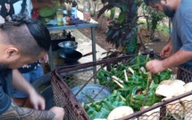 Le ahimā'a de A à Z à Moorea