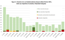 Dix cas importés la semaine dernière