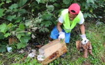 Sites touristiques : opération Propreté vallée de la Papenoo