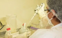 ​Plus contagieux et plus virulent, le variant Delta supplante l'Alpha