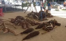 Le mā'a tupu made in Bora Bora