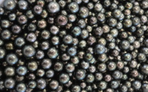 Enchères du GIE Poe o Rikitea : 325,4 millions Fcfp, une vente "au-delà des estimations"